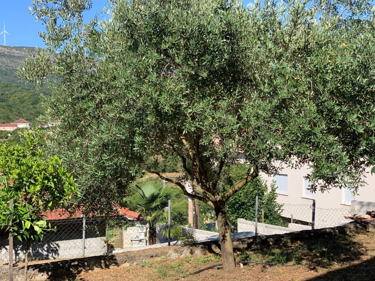 Holiday Home Bratica Ulcinj Exterior photo